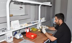 Yozgat’ta Dijital Diş Protez Dönemi: Ay Işığı Laboratuvarı Modern Teknolojiyle Hizmet Veriyor