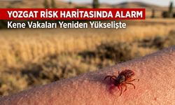 Yozgat Risk Haritasında Alarm: Kene Vakaları Yeniden Yükselişte