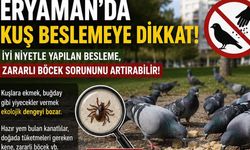 Ankara’da kuş besleyenlere büyük şok: aslında düzeni bozuyorlar!