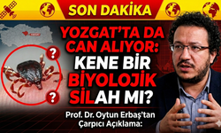 Yozgat’ta da can alıyor: Kene bir biyolojik silah mı?