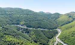 Doğanın Kalbi Burada Atıyor: Yozgat Aydıncık Şebek Geçidi Yeşile Büründü!