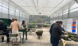 Yenimahalle rengarenk bir yaza hazırlanıyor