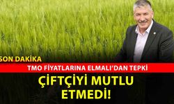 TZOB Yönetim Kurulu Üyesi Eyyup Elmalı’dan TMO Tepkisi: Yozgatlı Çiftçi Bu Maliyetle Ayakta Kalmakta Zorlanıyor