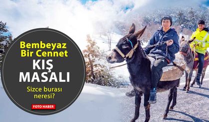 Bembeyaz Bir Cennet: Akdağmadeni’nde Kış Masalı!