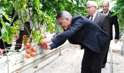 Yozgat’ta yılda 2 bin 500 ton üretiliyor!
