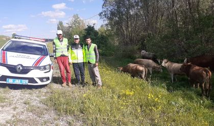 Yozgat'ta Jandarmadan Çobanlara Eğitim ve Yelek Dağıtımı