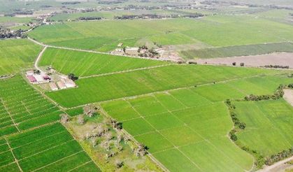 Satılık dev tarla!