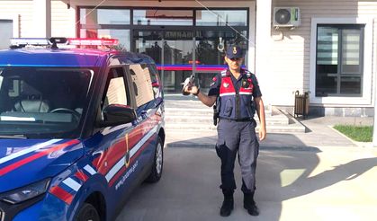 Yozgat’ta Yaralı Güvercin Jandarma Ekipleri Tarafından Kurtarıldı