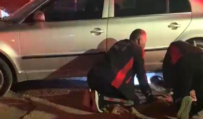 Yozgat İtfaiyesinden Kedilere Kurtarma Operasyonu