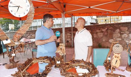 Akdağmadeni’nin Eşsiz Ağaçları Sanatla Buluştu! Görenler Büyülendi!