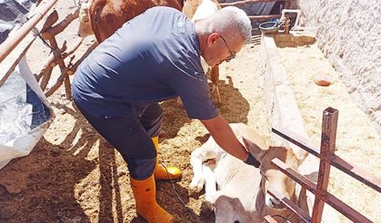 Yozgat İl Tarım Müdürlüğü Şap Hastalığına Dair Bilgilendirdi!