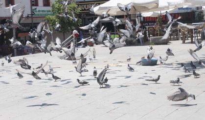Yozgat’ın Tarihi Un Pazarı: Kültür ve Ticaretin Kalbi