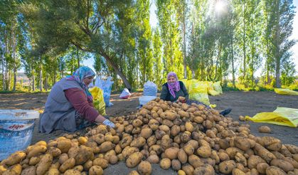 Yozgat’ta patatesin yolculuğu fotoğraf karesine öyle bir yansıdı ki!