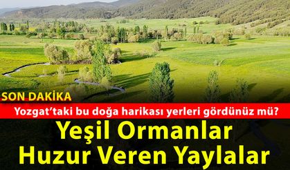Yozgat’ın doğa harikası yerleri, muhteşem yaylalarını gördünüz mü?