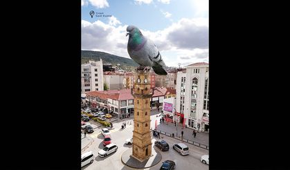 Yozgat’ın doğal güzelliklerine bir de bu açıdan bakalım!