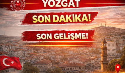 115 Gözaltı dev para trafiği!