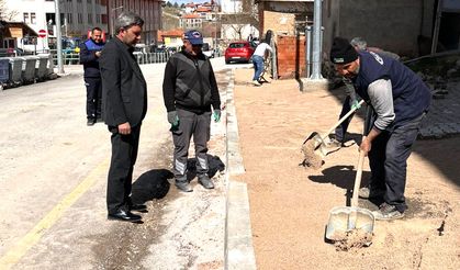 Caddeler Yenileniyor