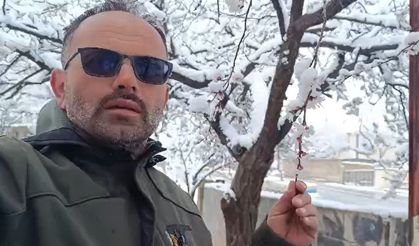 Don Tehlikesi Kapıda