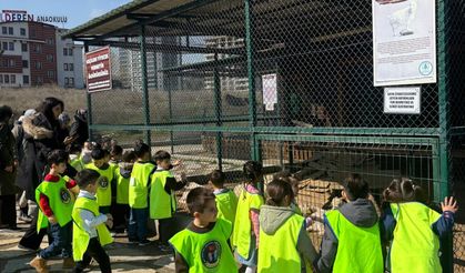 Pursaklar'da Doğa ve eğitim bir arada