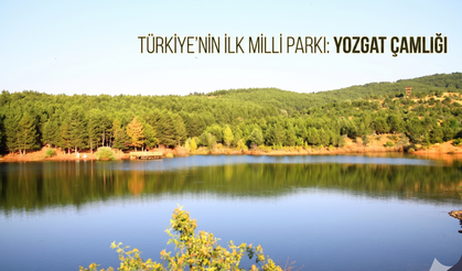 Yozgat Çamlığı Milli Parkı: Türkiye’nin İlk Milli Parkı İç Anadolu’nun Yeşil Vahası
