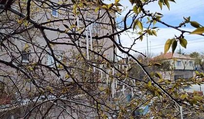 Yozgat’ta Zirai Don Alarmı: Çiftçilere Kritik Uyarı Yapıldı, Tarımsal Üretim İçin Risk Kapıda