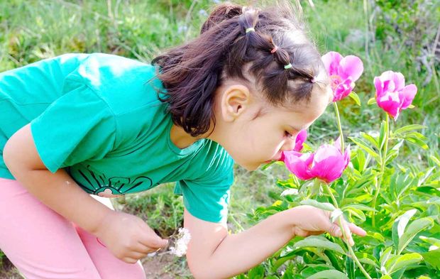 Cehrilik Lalesi: Doğanın Kısa Süreli Mucizesi