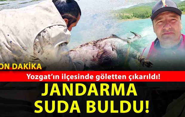 Yozgat Jandarması’ndan çevre harekatı: Gölette ölü domuz çıkarıldı, ormandaki çöpler temizlendi