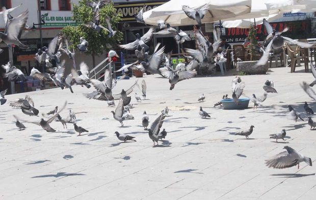 Yozgat’ın Tarihi Un Pazarı: Kültür ve Ticaretin Kalbi
