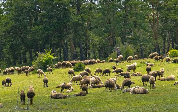 Sanat Gibi Memleket: Akdağmadeni’nin Güzelliği Fotoğraf Karelerinde Hayat Buluyor