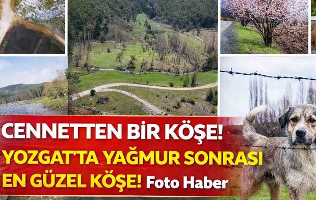 Yozgat Akdağmadeni’nde Yağmur Sonrası Büyüleyen Manzara: Bozok Yaylası Yeşile Büründü