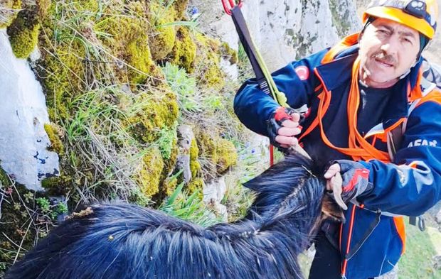 Yozgat’ta nefes kesen kurtarma! Keçiyi böyle kurtardılar: