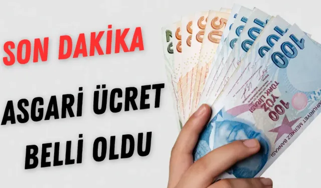 Son Dakika Asgari Ücret 2025 Ne Kadar Oldu?