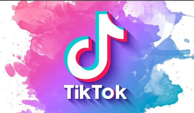 TikTok'ta Son Çıkan Akımlar! Eğlenceli ve Viral Trendler (Aralık 2024)