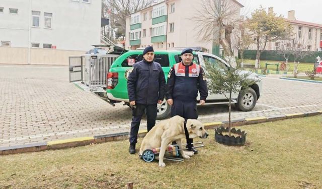 Yozgat’ta Jandarma’dan Örnek Davranış!