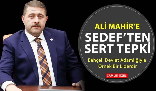 MHP'li Vekil Sedef'ten Ali Mahir Başarır’a Sert Tepki: “Türk Siyaseti Edep ve Haysiyetle Yapılmalı”