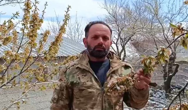 Yozgat’ta zirai don meyve ağaçlarını vurdu