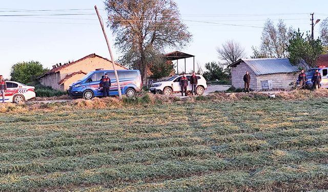 Sarıkaya’da Kayıp 6 Büyükbaş Hayvan Jandarma Tarafından Bulundu