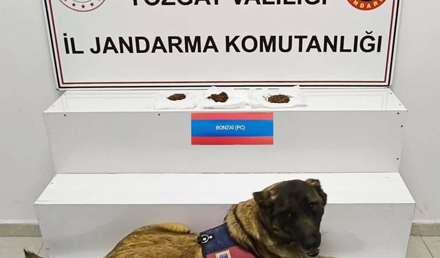 Yozgat’ta Uyuşturucu Operasyonu: 28,9 Gram Bonzai Ele Geçirildi