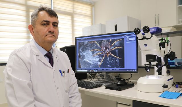 Hayvanların üzerindeki keneler elle koparılmamalı