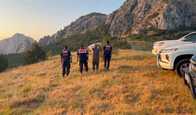 Yozgat'ın Kazankaya Kanyonu'nda Yaban Keçileri Görüntülendi