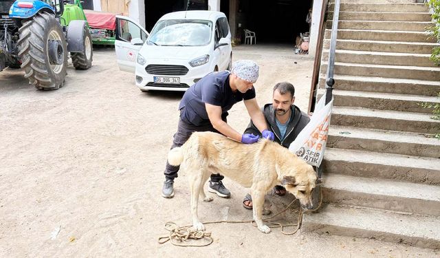 Yozgat Valiliği Çok Önemli Kod İle Uyardı: Aşıları Yapılmazsa Sonuçları Ağır Olur!