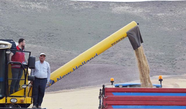 Yozgat'ta Arpa Bereketi Başladı: 2025 Hasadı Yerköy'den Start Aldı!