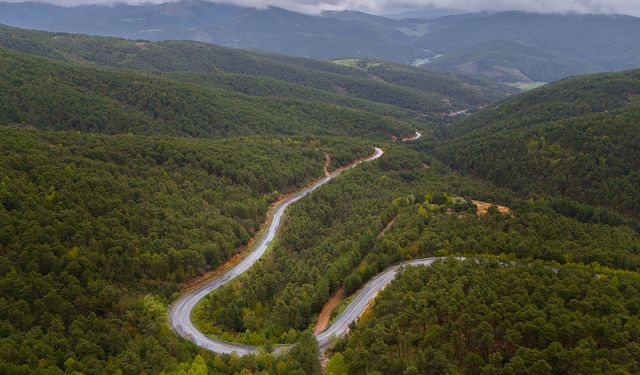 500 Yıllık Anıt Meşe, Göbeleğin Ana Vatanı ve Nida Tüfekçi’nin Memleketi! Tamamı Yozgat’ta