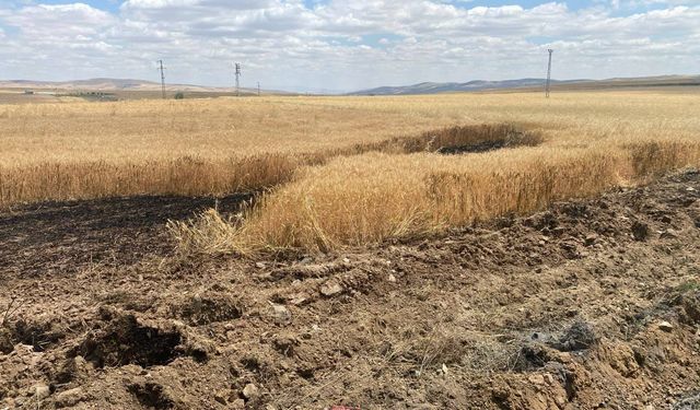 Yozgat’ta Buğday Tarlasında Yangın