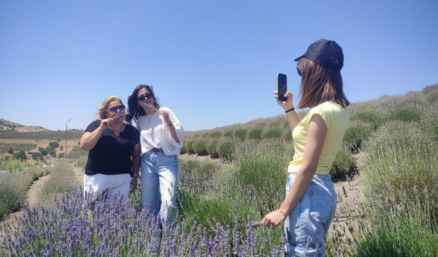 Yozgat'ın Çekerek İlçesinde Lavanta Adası’na Doğayla İç İçe Gezi