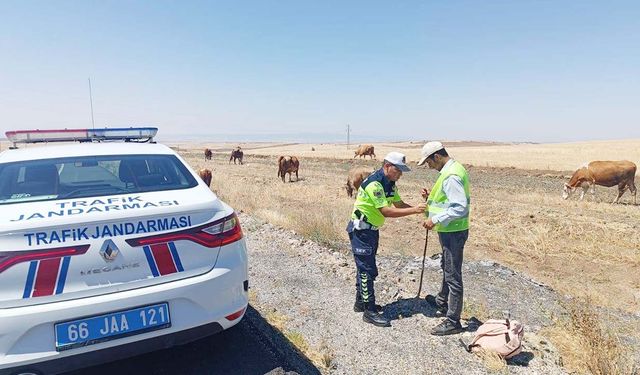 Yozgat’ta Çobanlara Reflektif Yelek Desteği!