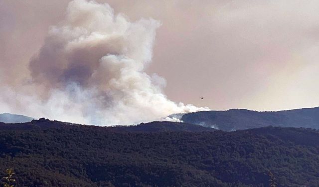 Yürekler Eskişehir’de Yandı: 10 Şehit! Türkiye Yasa Boğuldu