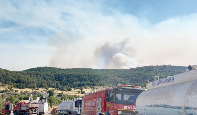 Eskişehir Seyitgazi’de Orman Yangını: 10 Kahraman Şehit Oldu