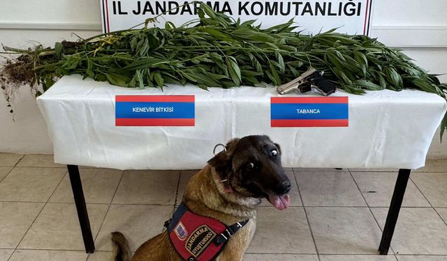 Yozgat’ta Jandarması'ndan Operasyon