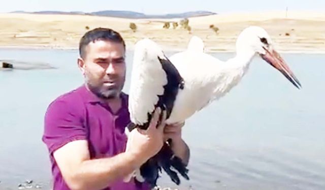 Yozgat’ta Yaralı Leylek 3 Ay Sonra Özgürlüğüne Kanat Çırptı